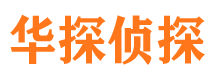 屏山市侦探公司